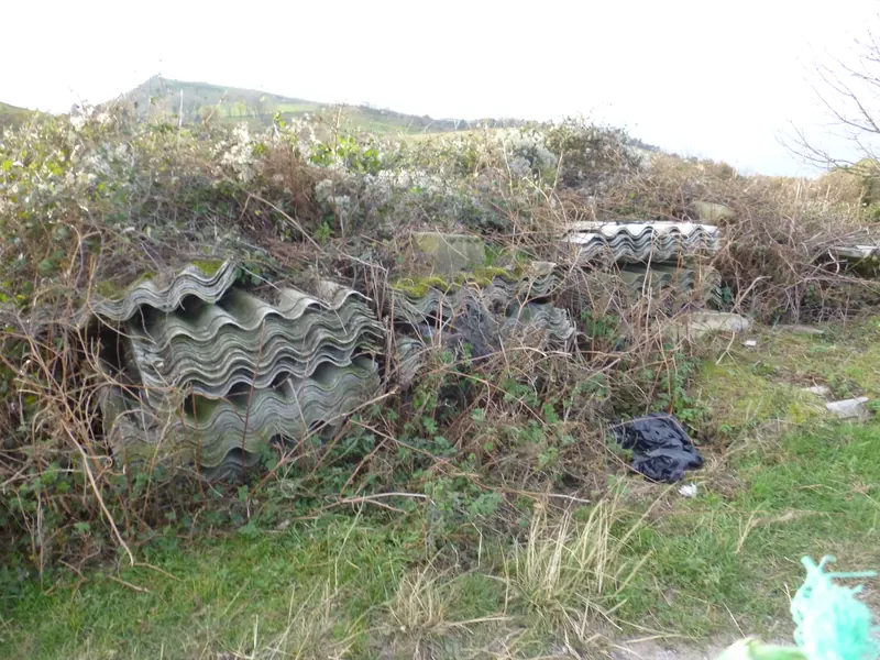 Plaques de fibrociment abandonnées dans la nature