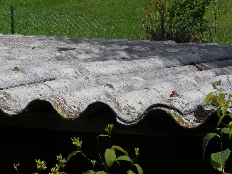 Toiture en fibrociment couverte de mousse mais entière